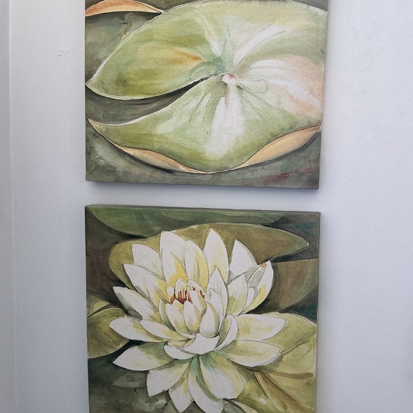 Lily Pad Pictures - Picture 2 of 9